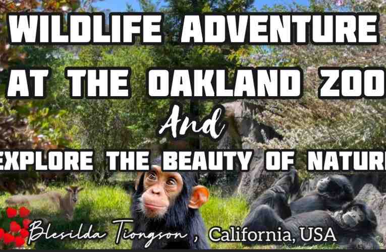 Oakland News Online Links From Oakland's Only News Aggregator Blog