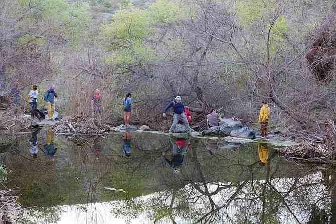 Let ZENNIE62MEDIA Tell Your Story