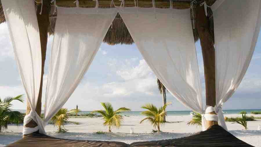 Trip Travel Insurance: Magic Awaits