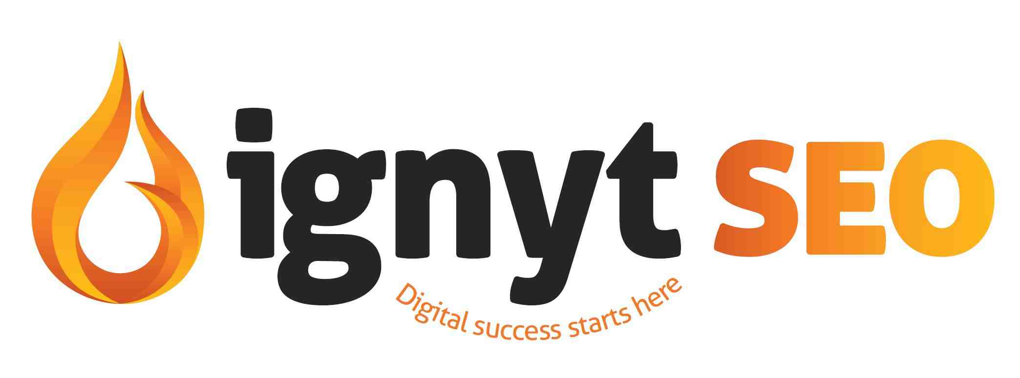 What are the two techniques of SEO?