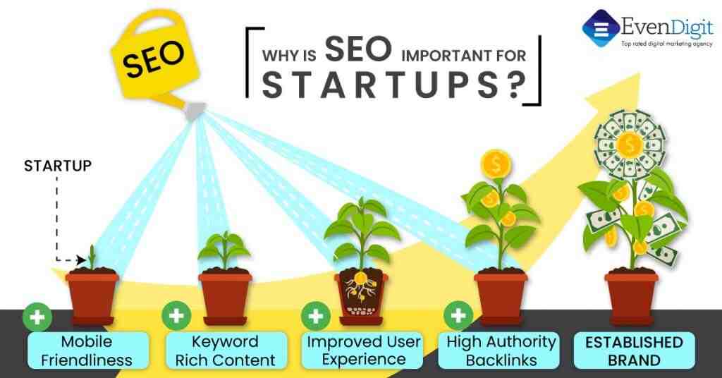 Why startups need SEO