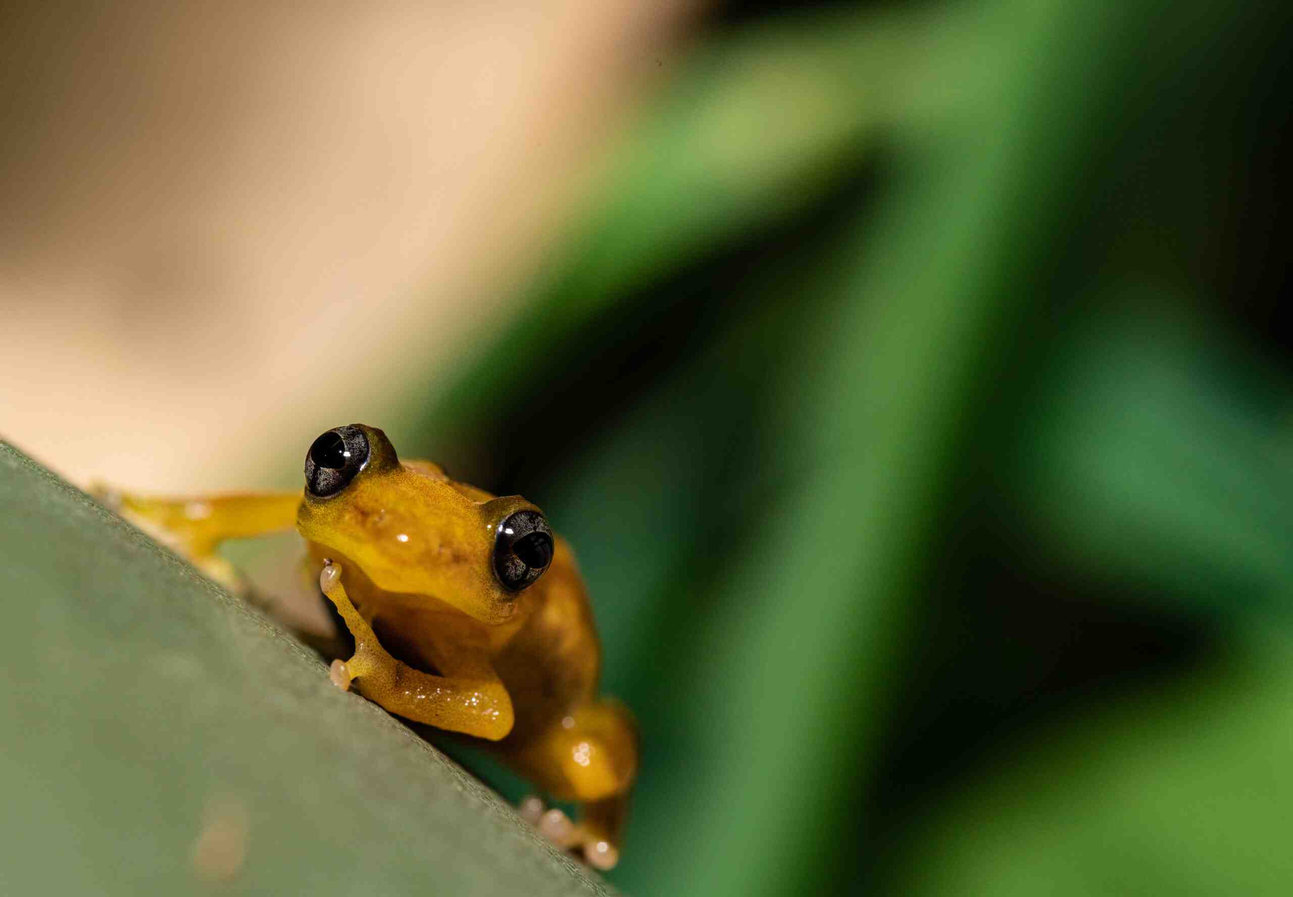 What is B2B graphic design?