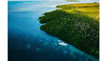 What is a chamber in law?